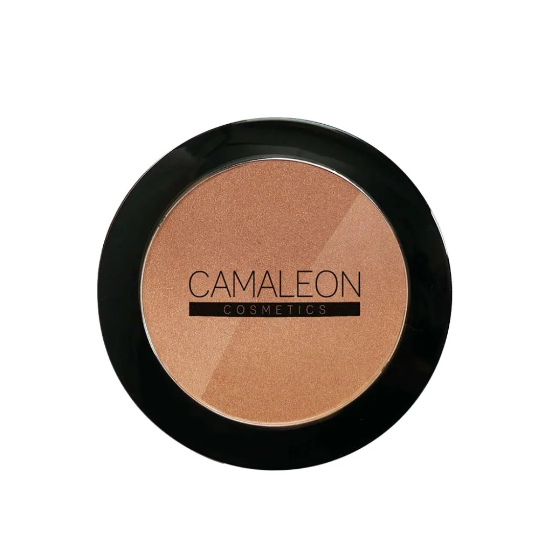 Bronzing Powder Sun Kissed