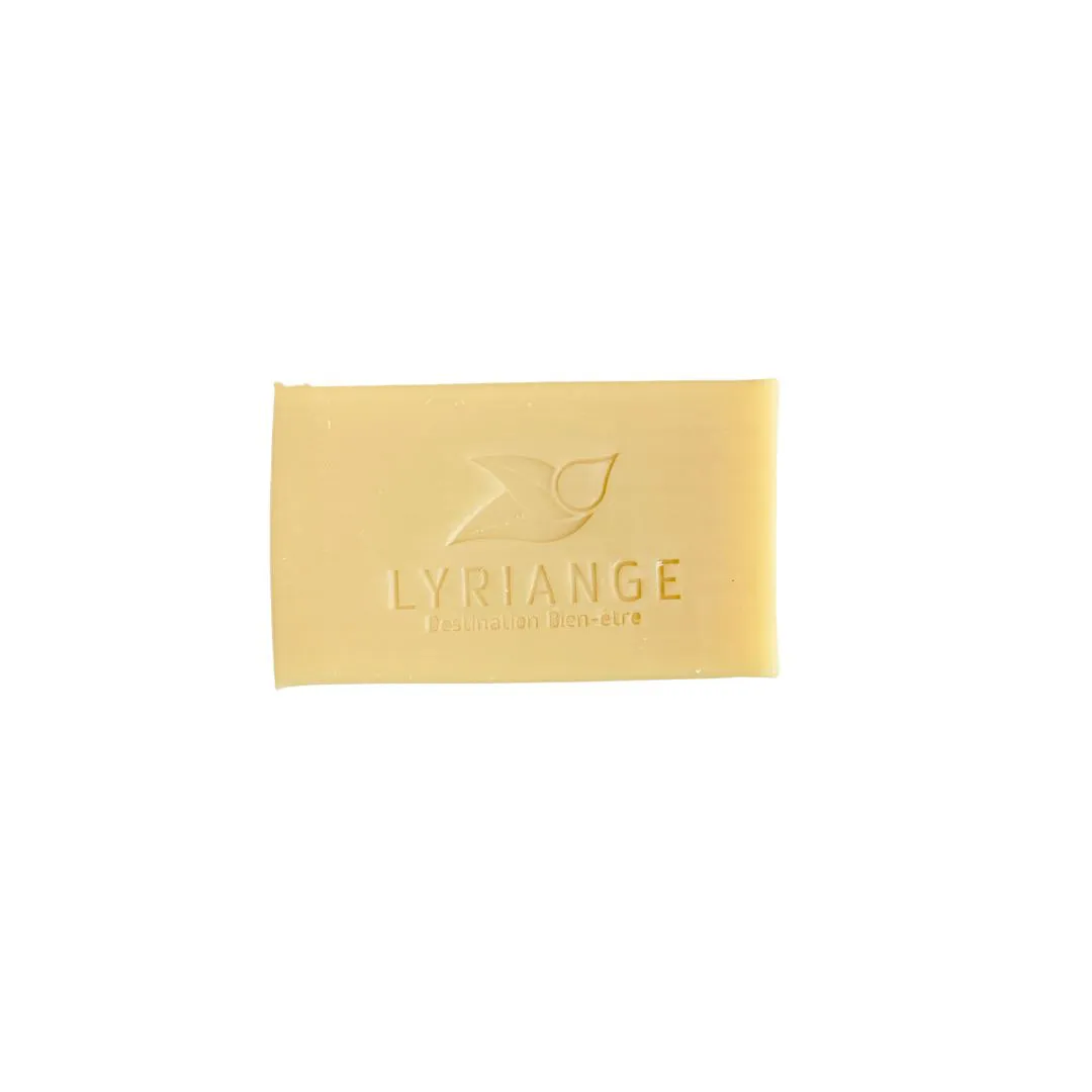 SAVON SOLIDE LYRIANGE 2 EN 1 - CORPS ET CHEVEUX