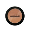 Bronzing Powder Sun Kissed 1
