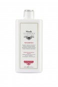 Energizing Shampoo - 500 ml